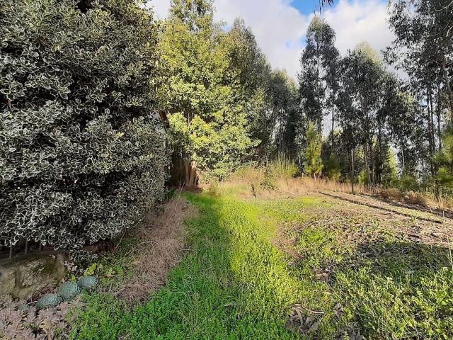 Terreno venda em Mouraz e Vila Nova da Rainha, Tondela