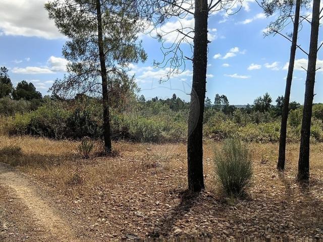 Terreno venda em Mouriscas, Abrantes