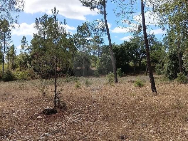 Terreno venda em Mouriscas, Abrantes