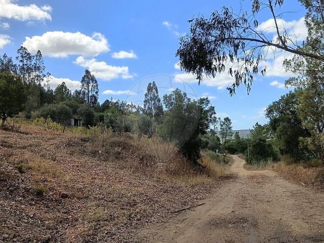 Terreno venda em Mouriscas, Abrantes