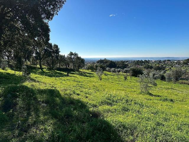 Terreno venda em Mouriscas, Abrantes