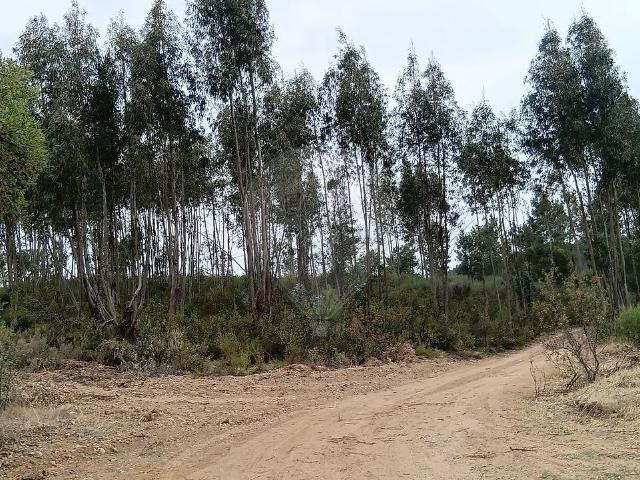 Terreno venda em Mouriscas, Abrantes