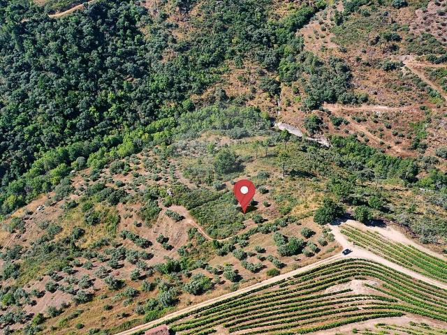 Terreno venda em Candedo, Vila Real