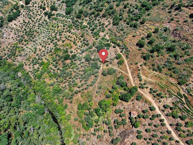 Terreno venda em Candedo, Vila Real