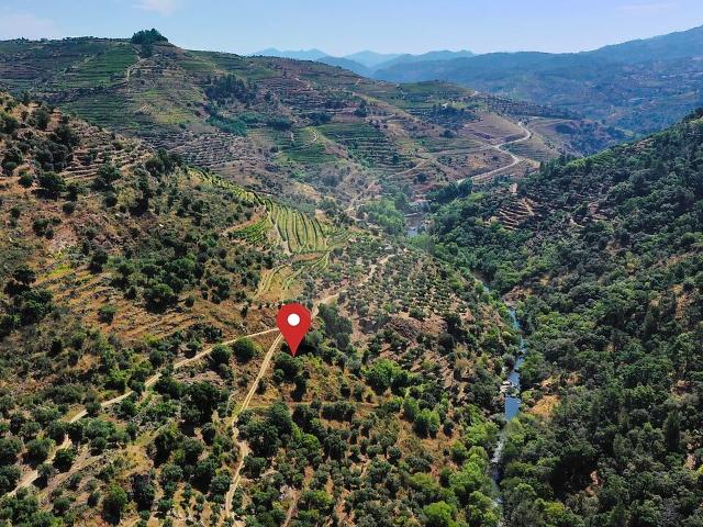 Terreno venda em Candedo, Vila Real