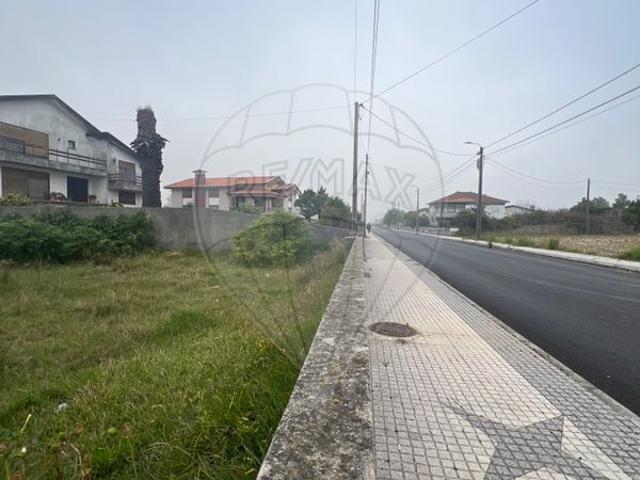 Terreno venda em Arribação, Monte