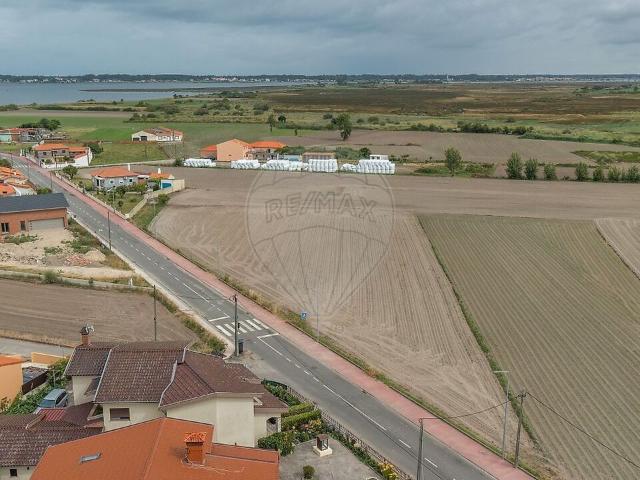 Terreno venda em Ribeiro, Murtosa