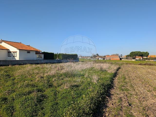 Terreno venda em Ribeiro, Murtosa