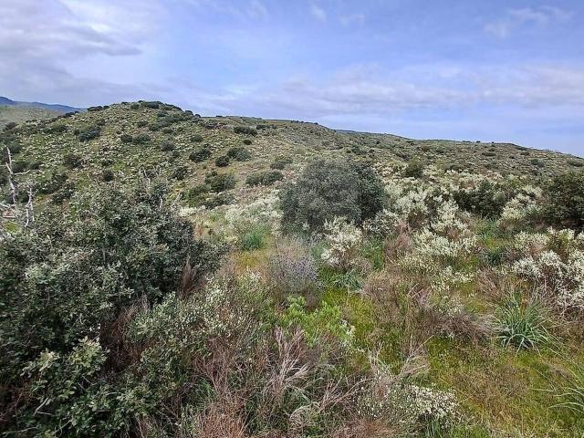 Terreno venda em Castelo Melhor, Vila Nova de Foz Côa