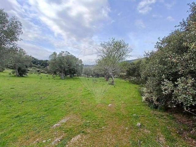Terreno venda em Castelo Melhor, Vila Nova de Foz Côa