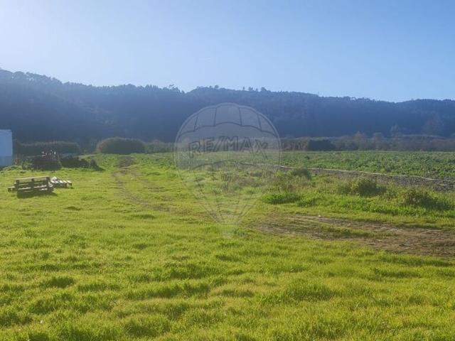 Terreno venda em Pederneira, Valado Dos Frades