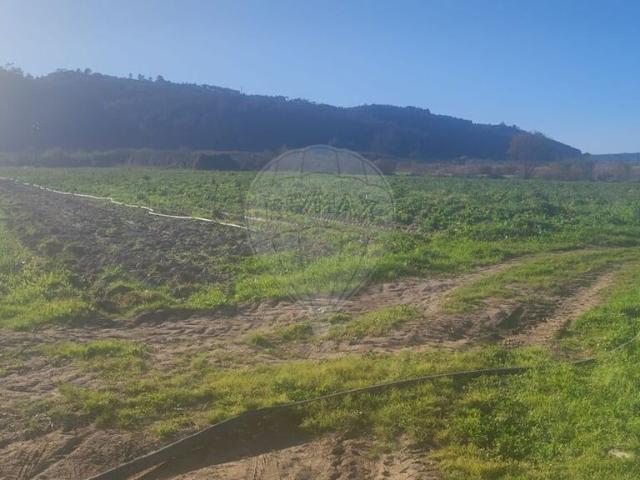 Terreno venda em Pederneira, Valado Dos Frades