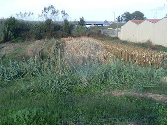 Terreno venda em Pederneira, Valado Dos Frades