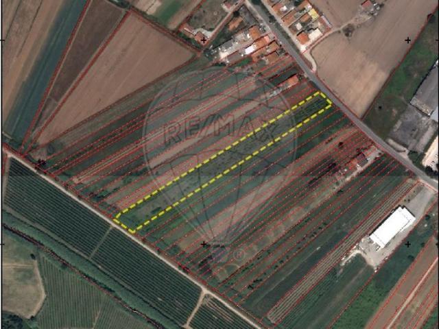 Terreno venda em Pederneira, Valado Dos Frades