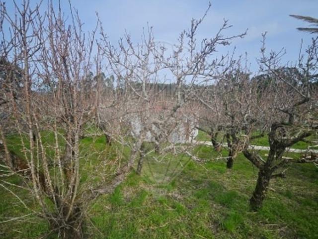 Terreno venda em Pederneira, Famalicão