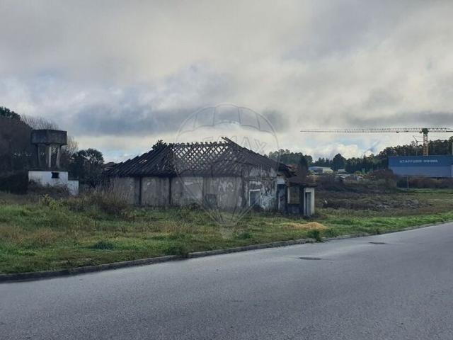 Terreno venda em Canas de Senhorim, Nelas