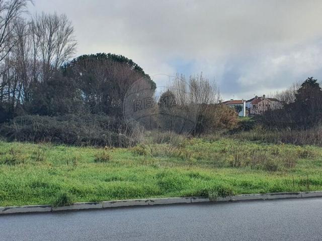 Terreno venda em Canas de Senhorim, Nelas