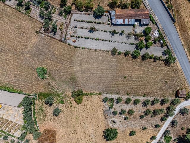 Terreno venda em Canas de Senhorim, Nelas