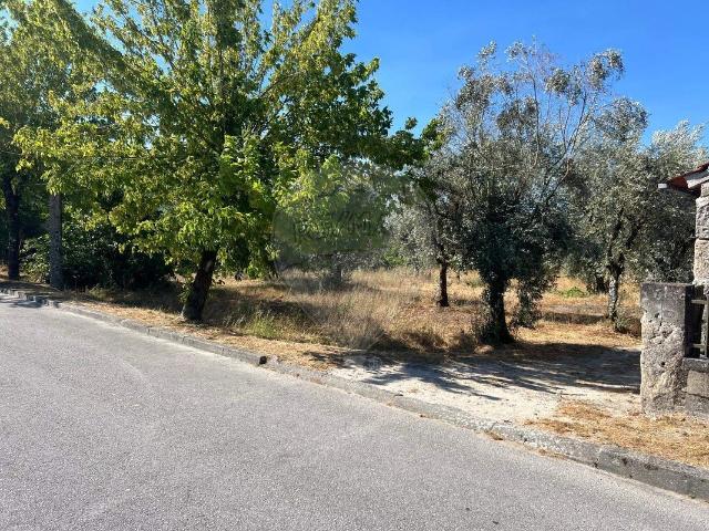 Terreno venda em Canas de Senhorim, Nelas