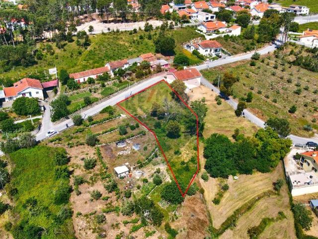 Terreno venda em Nelas