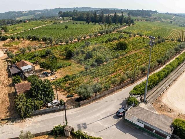 Quinta venda em Nelas, Viseu