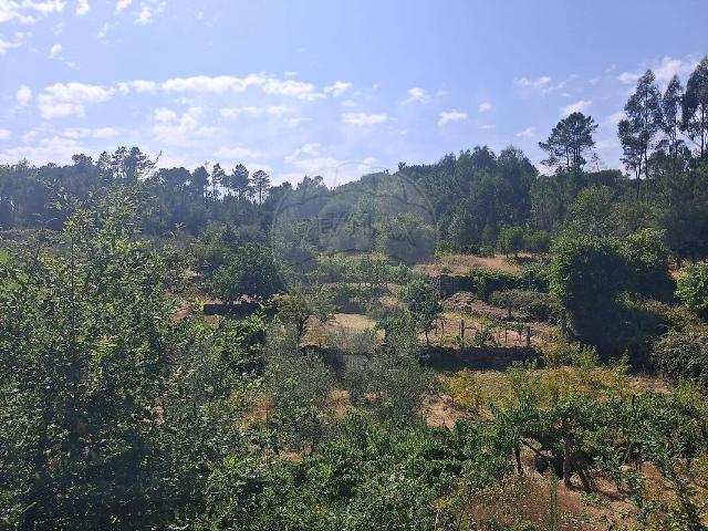 Terreno venda em Nelas