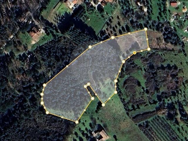 Terreno venda em Nelas