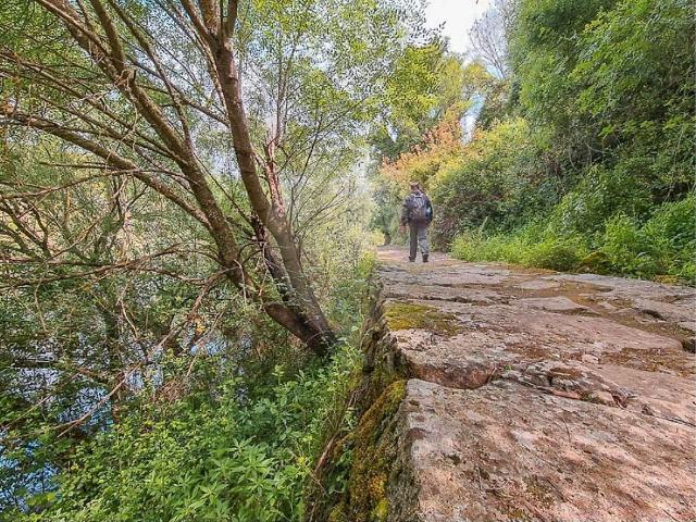 Terreno venda em Nisa, Portalegre