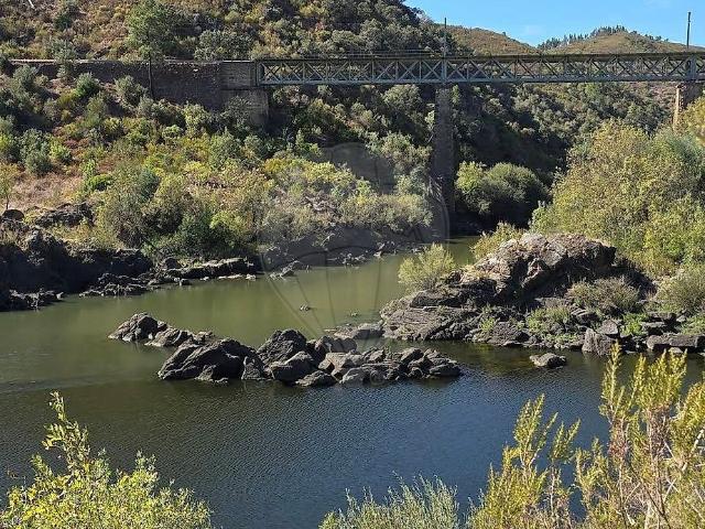 Terreno venda em Nisa, Portalegre