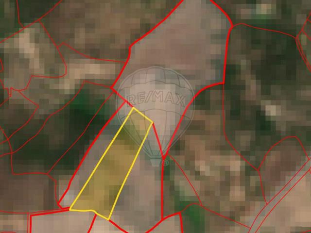 Terreno venda em Nisa, Portalegre