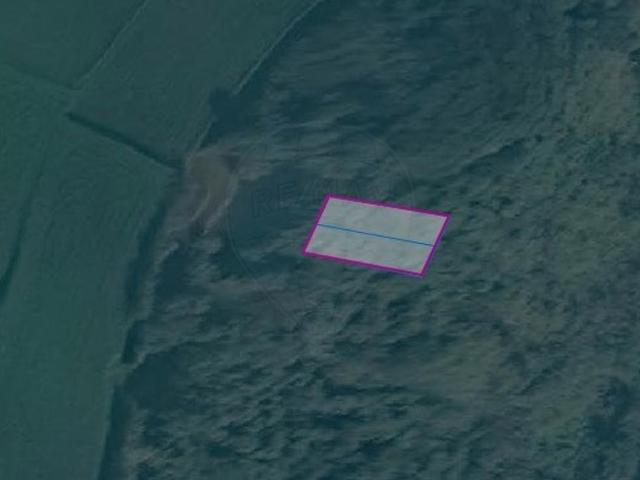 Terreno venda em Açores, Santo António De Nordestinho