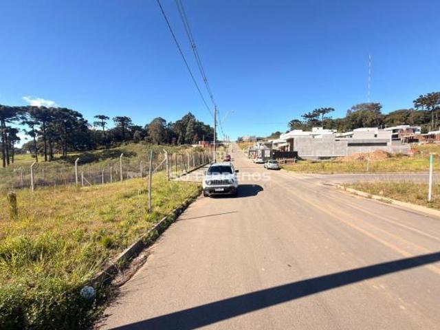 Terreno venda em Região Geográfica Imediata de Caxias do Sul, Caxias do Sul