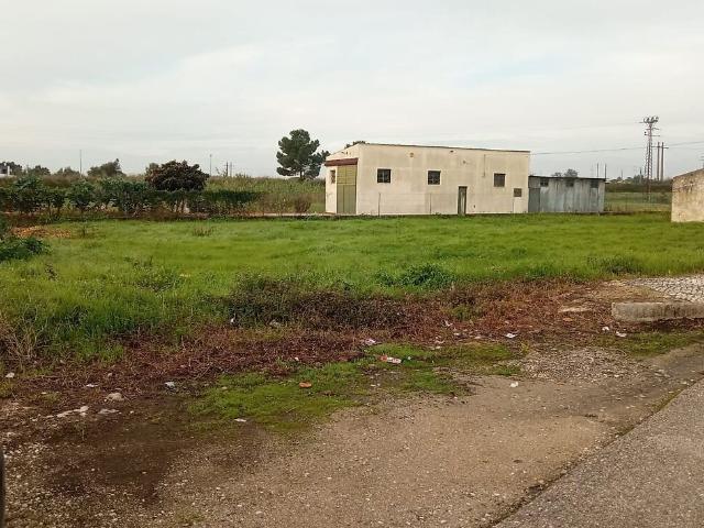 Terreno venda em Nossa Senhora de Fátima, Entroncamento