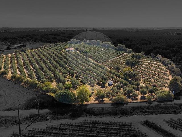 Terreno venda em Monte da Magalhôa, Évora