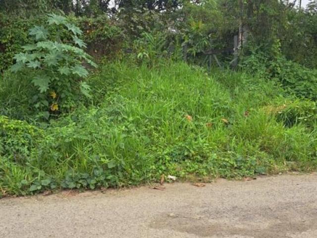 Terreno venda em Região Imediata de Santos, Região Metropolitana da Baixada Santista