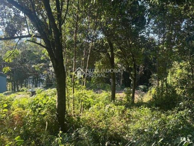 Terreno venda em Região Geográfica Imediata de Caxias do Sul, Nova Petrópolis