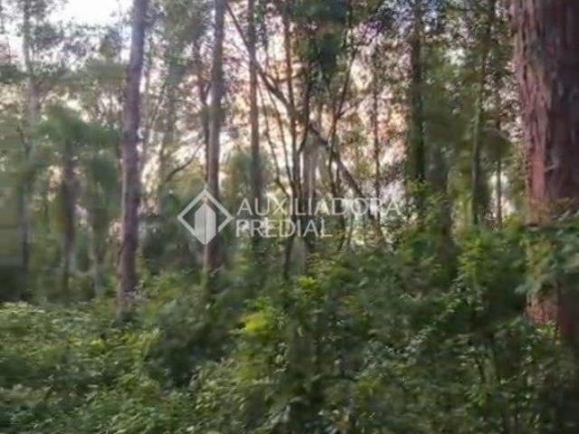 Terreno venda em Região Geográfica Imediata de Novo Hamburgo - São Leopoldo, Região Metropolitana de Porto Alegre