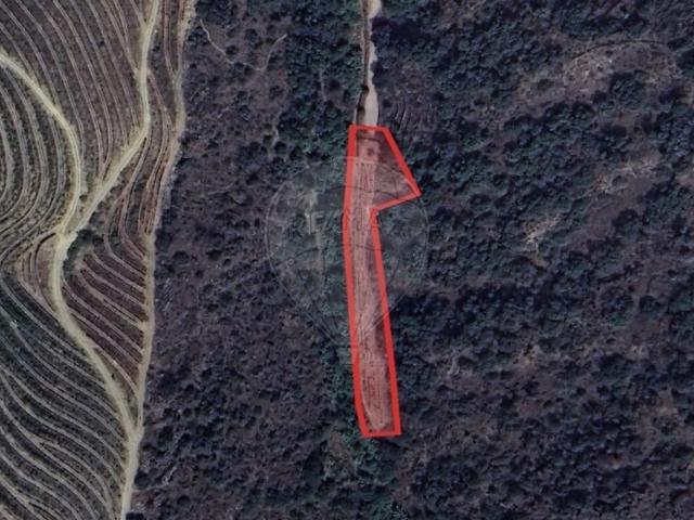 Terreno venda em Numão, Vila Nova de Foz Côa