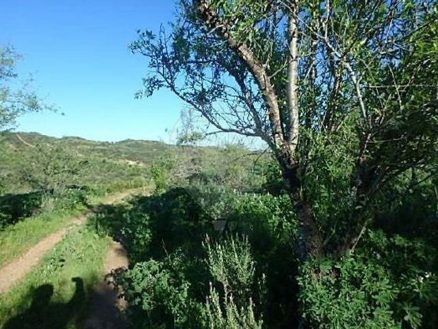 Terreno venda em Odeleite, Castro Marim