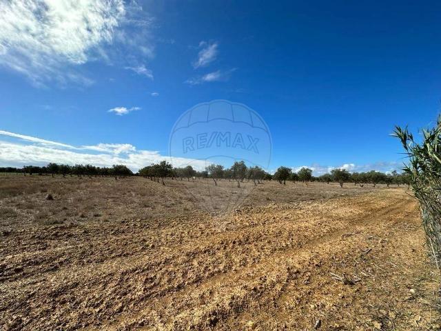 Terreno venda em Odemira, Beja