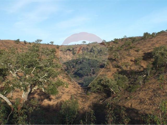 Terreno venda em Saboia, Odemira