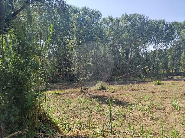Terreno venda em Oiã, Oliveira do Bairro
