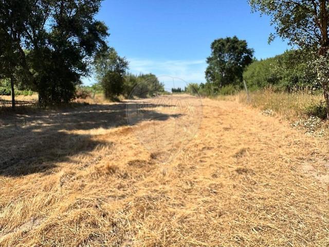 Terreno venda em Oiã, Oliveira do Bairro
