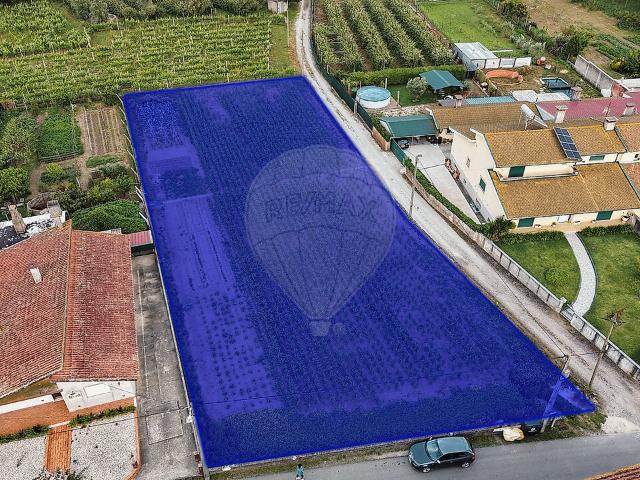 Terreno venda em Bustos, Troviscal e Mamarrosa, Oliveira do Bairro