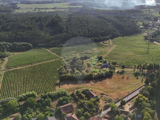 Terreno venda em Anadia, Aveiro