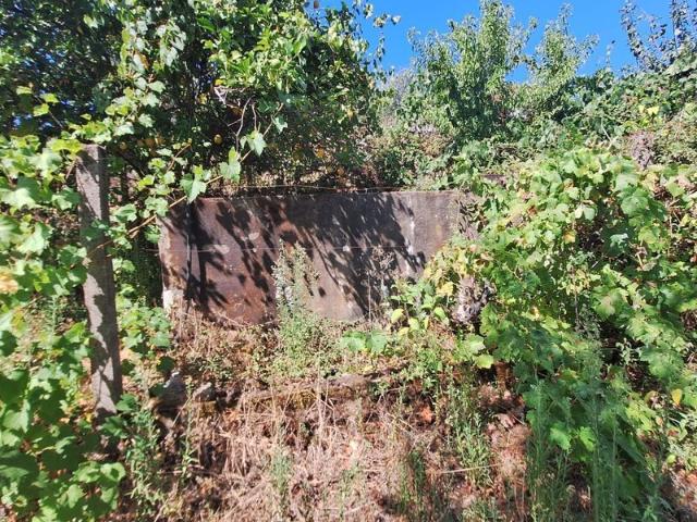 Terreno venda em Castelo Branco, Oleiros