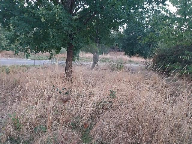 Terreno venda em Senhora das Candeias, Oleiros