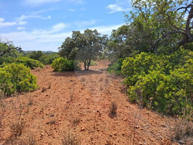 Terreno venda em Poço Longo, Olhão