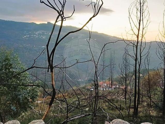 Terreno venda em Sogueire, São Cristóvão de Nogueira