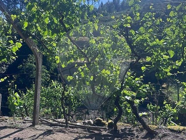 Terreno venda em Oliveira do Douro, Viseu